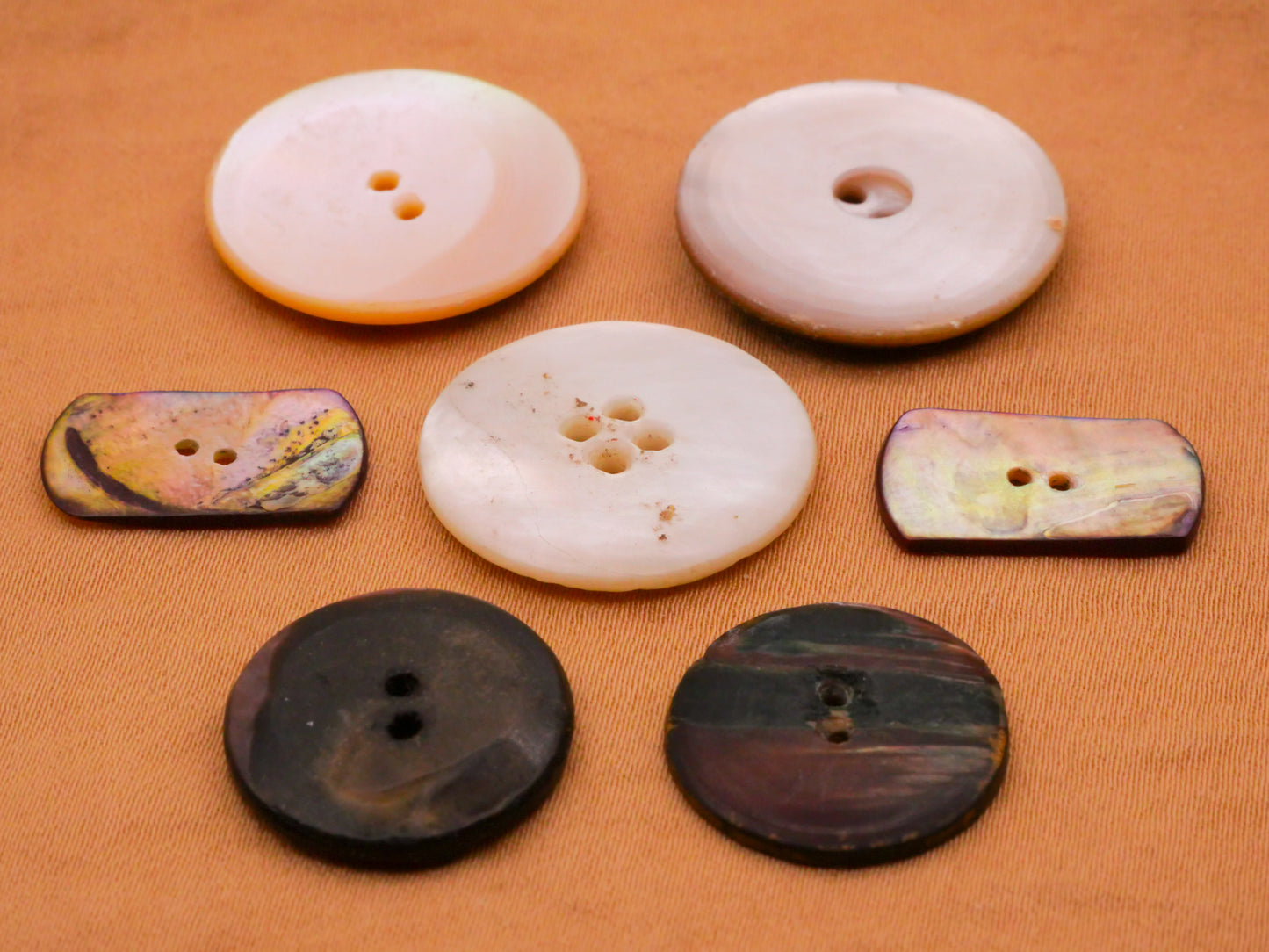 Leaf Foliage Design Etch Carved Mother of Pearl Button Various 10-22mm