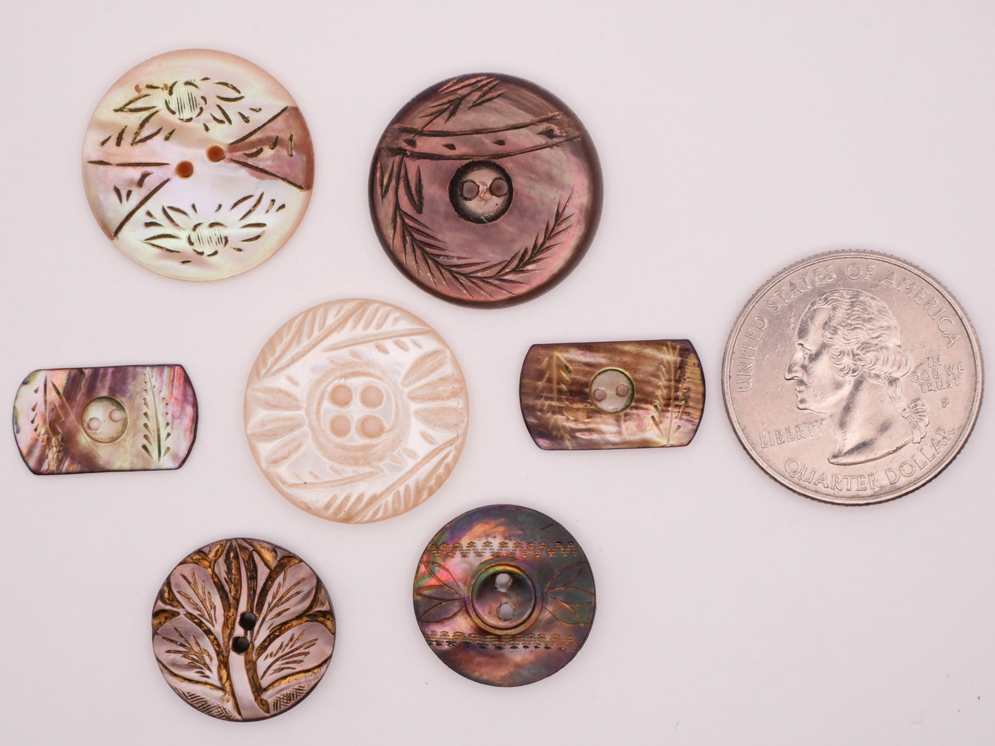 Leaf Foliage Design Etch Carved Mother of Pearl Button Various 10-22mm