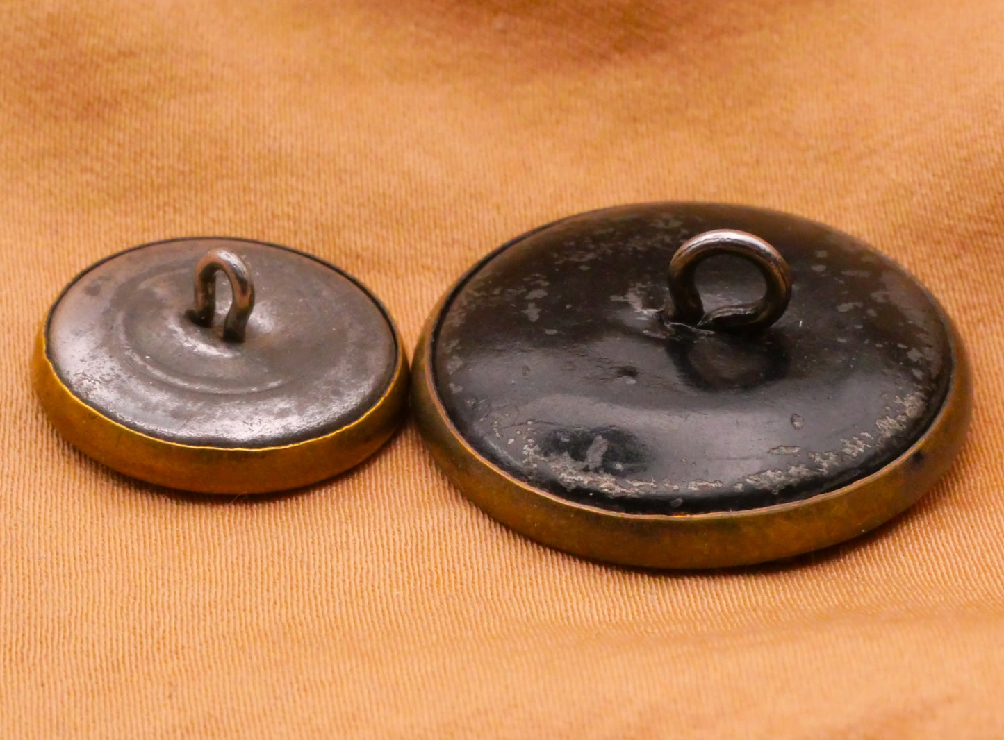 Parrot Bird Branch Brass or Tinted Victorian Metal Button Various 18-26mm