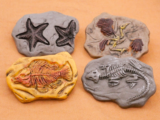 Fossil Animals Realistic Stone Plastic Set of Four Buttons 22-36mm
