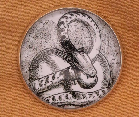 Snake Heart Glass Dome Silver Metal Button 27mm