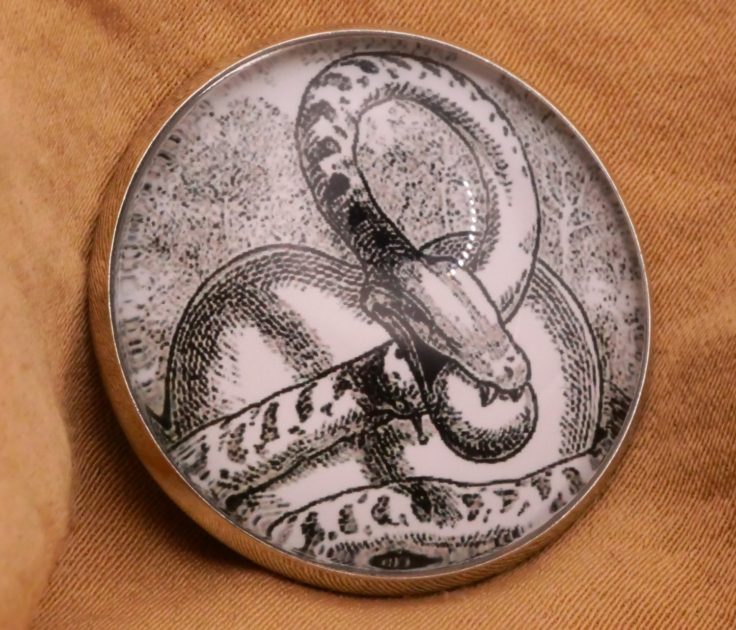 Snake Heart Glass Dome Silver Metal Button 27mm