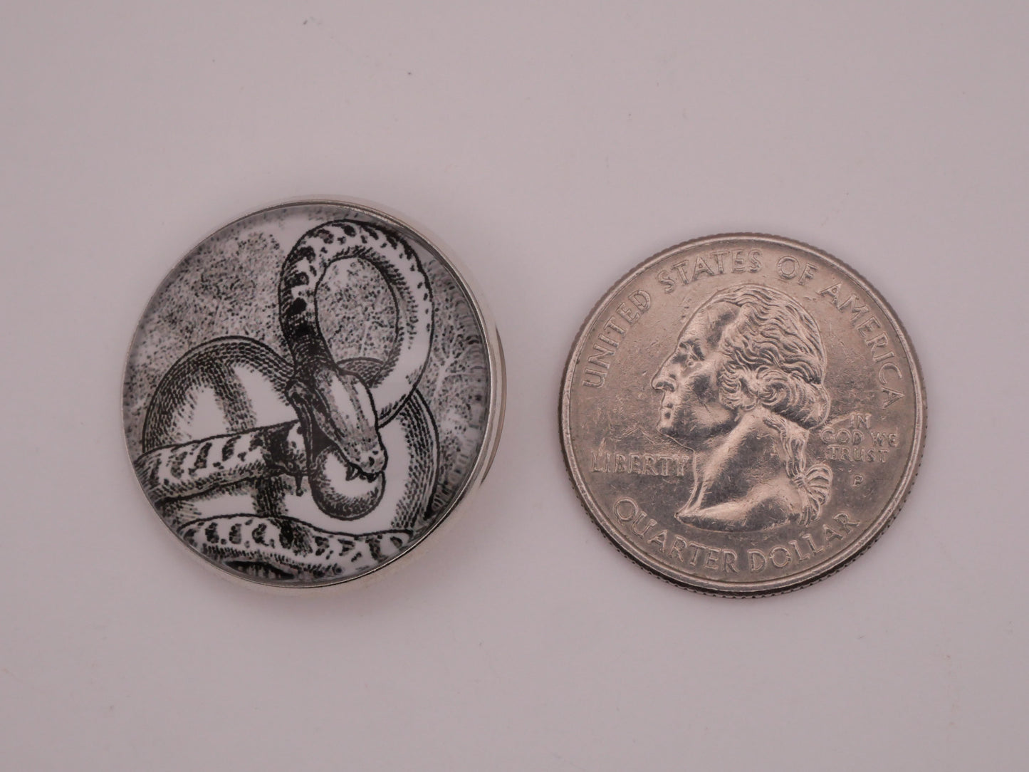 Snake Heart Glass Dome Silver Metal Button 27mm