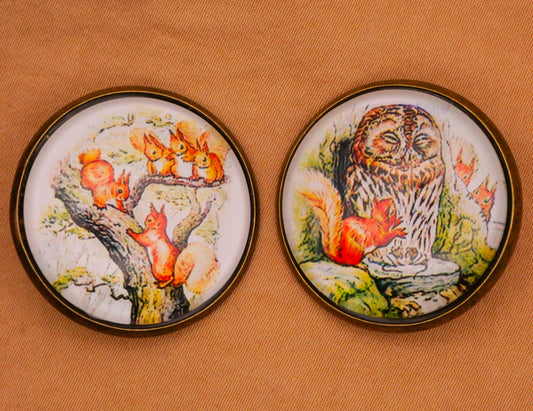Beatrix Potter The Tale of Squirrel Nutkins Glass Dome Bronze Metal Button Various 28mm