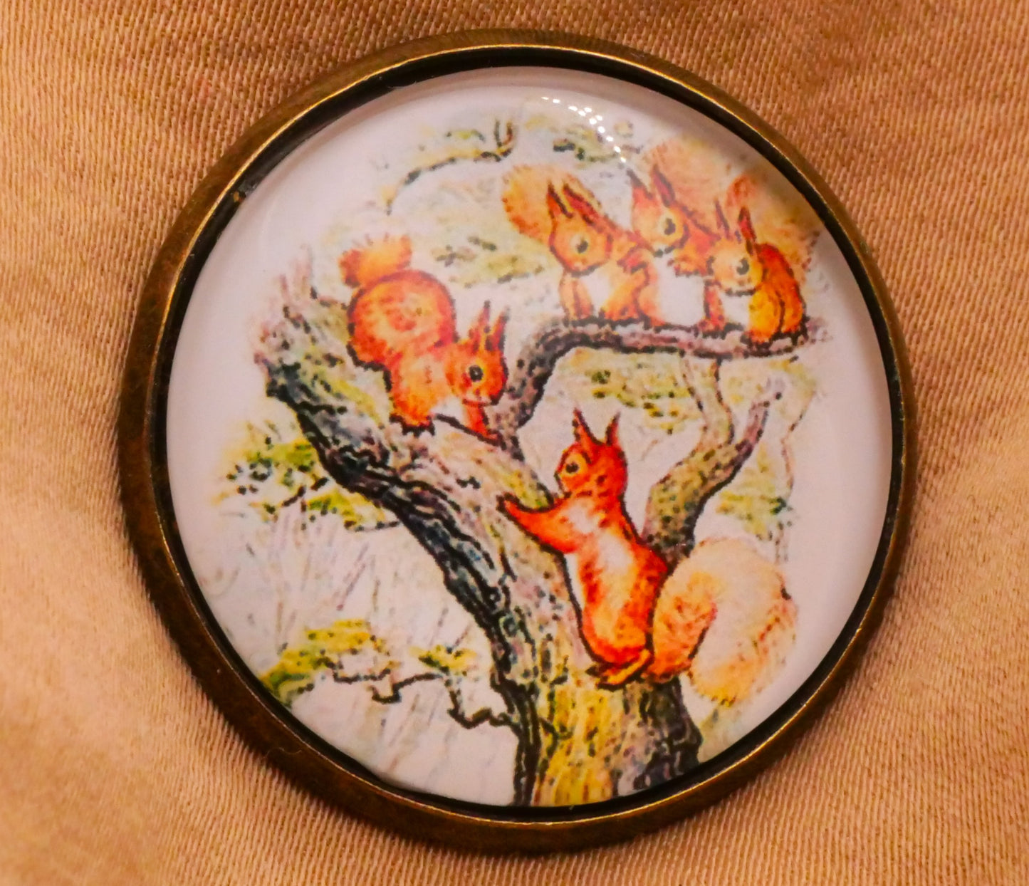 Beatrix Potter The Tale of Squirrel Nutkins Glass Dome Bronze Metal Button Various 28mm