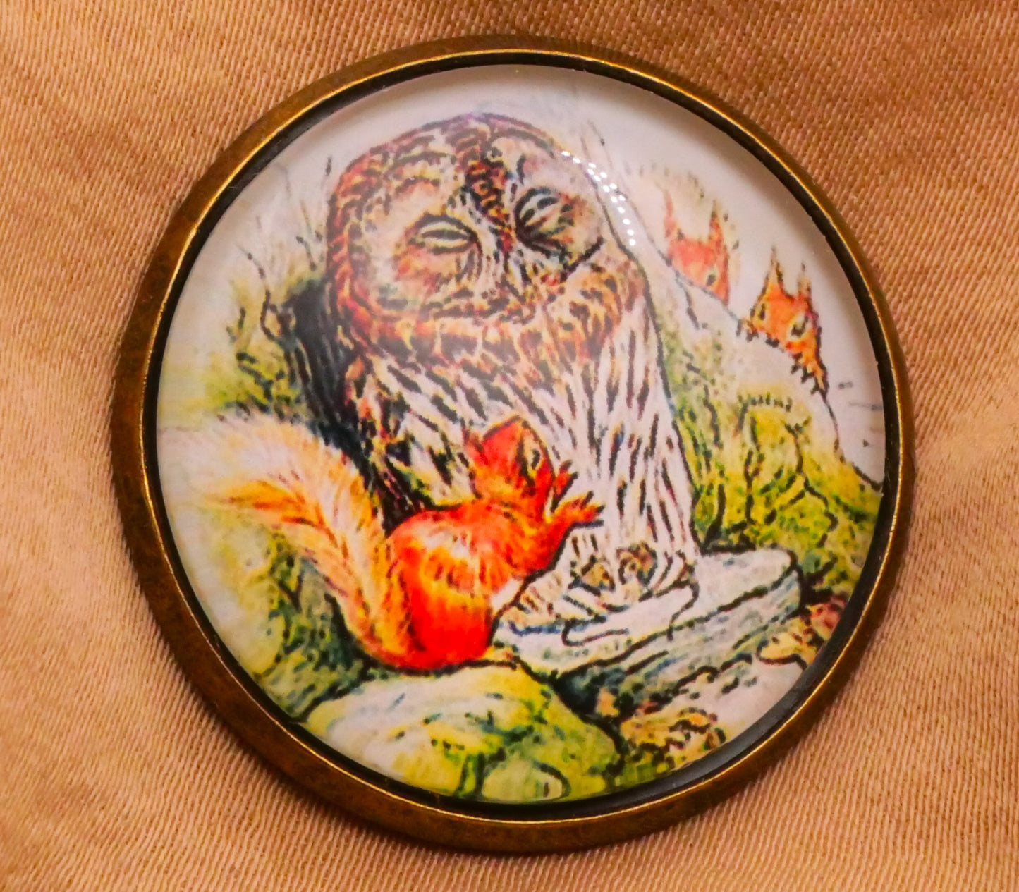 Beatrix Potter The Tale of Squirrel Nutkins Glass Dome Bronze Metal Button Various 28mm
