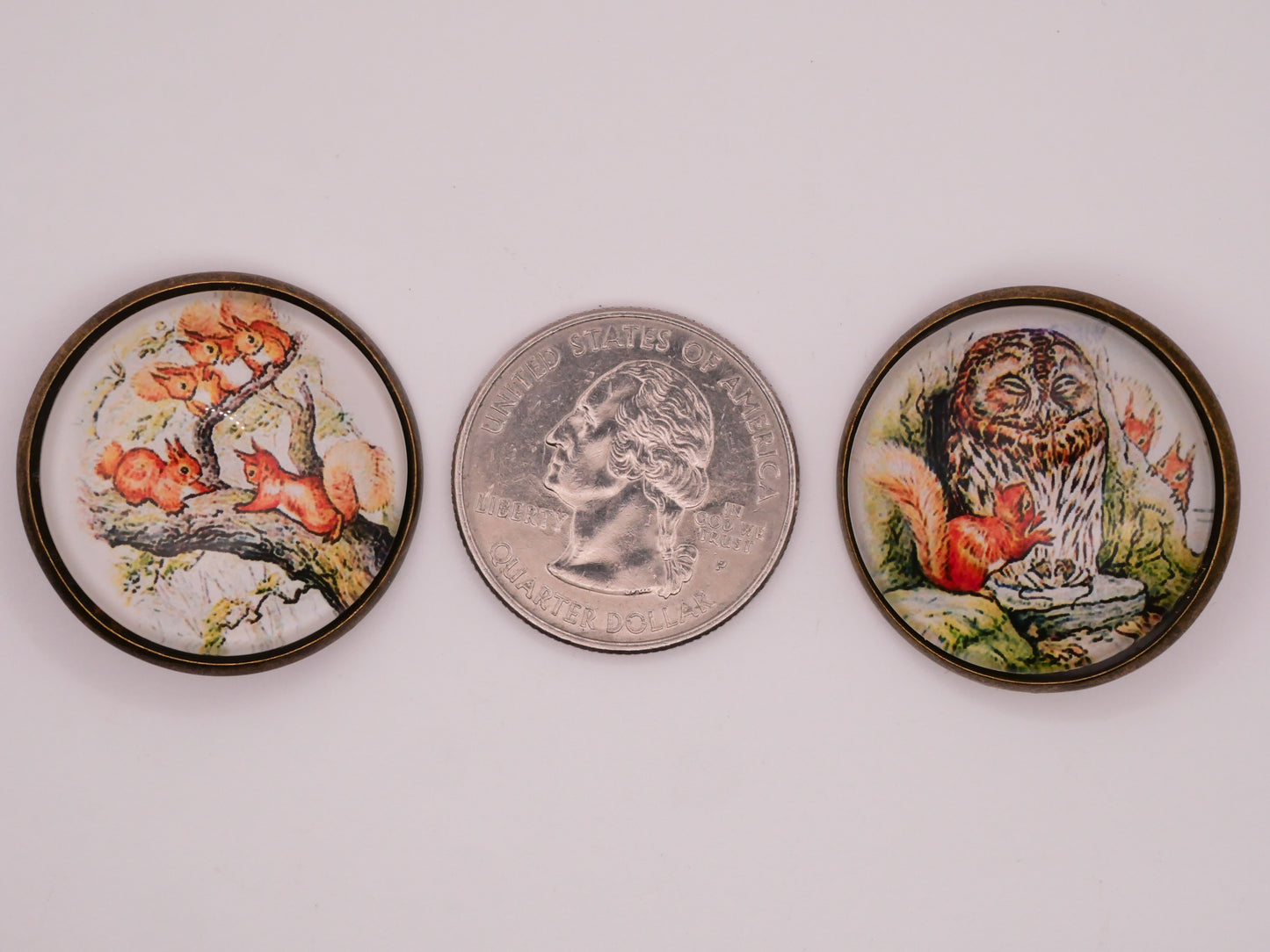 Beatrix Potter The Tale of Squirrel Nutkins Glass Dome Bronze Metal Button Various 28mm