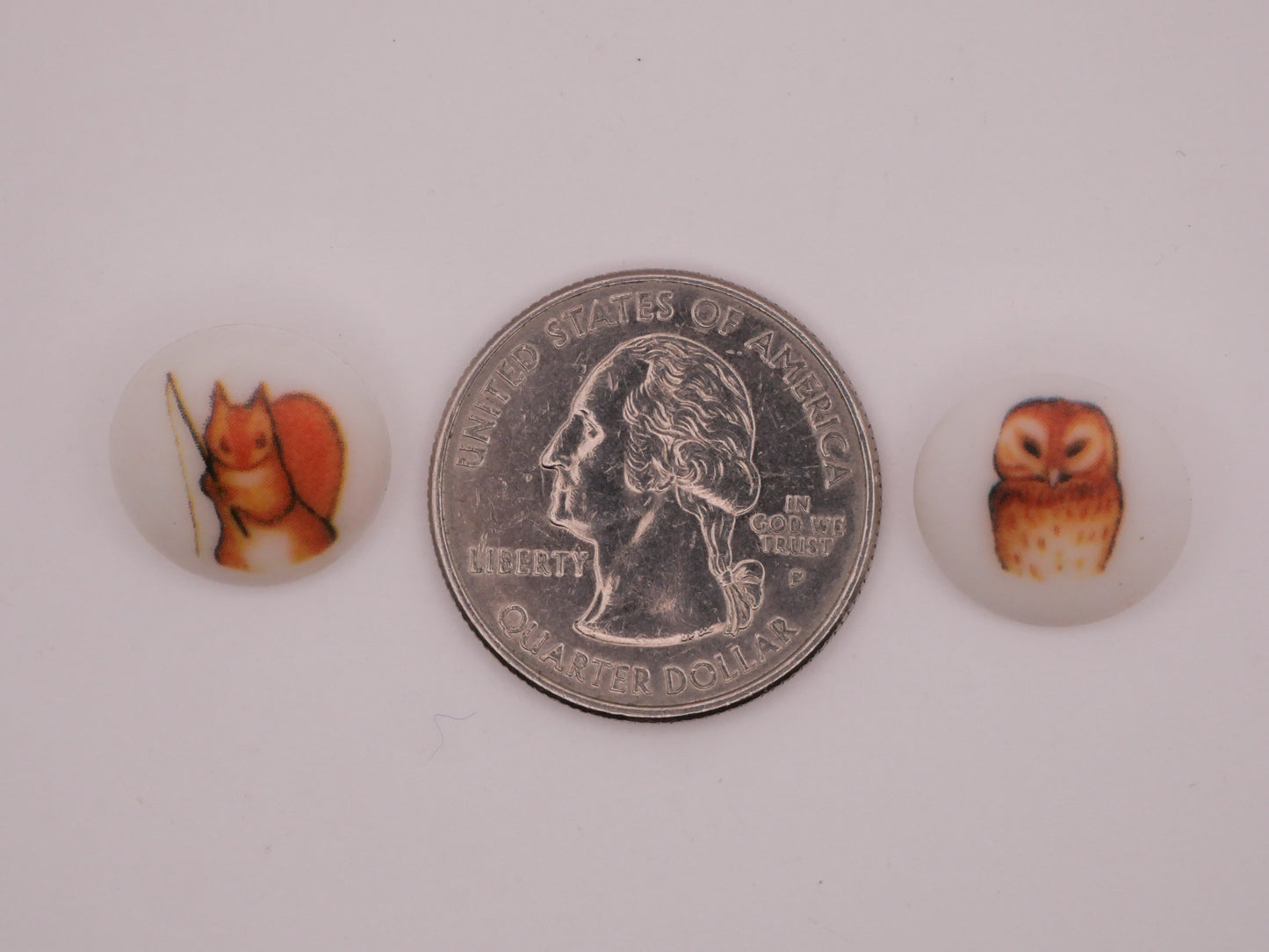 Beatrix Potter Squirrel or Owl The Tale of Squirrel Nutkin Plastic Button Various 15mm