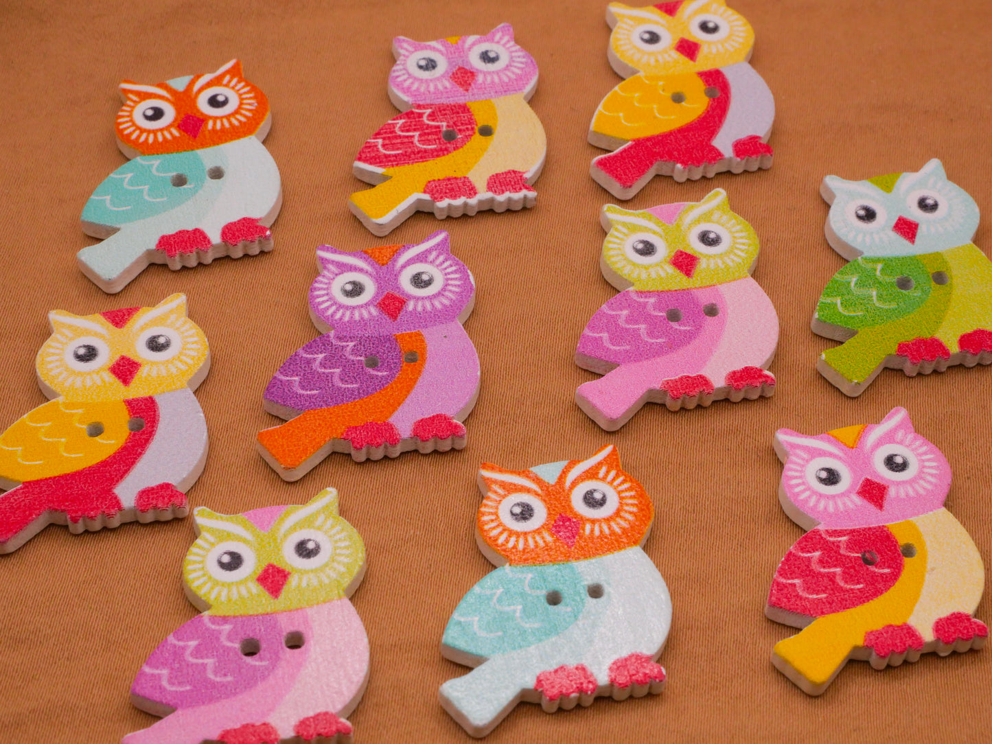 Owl Colorful Wood Assorted Set of Ten Buttons 21x30mm