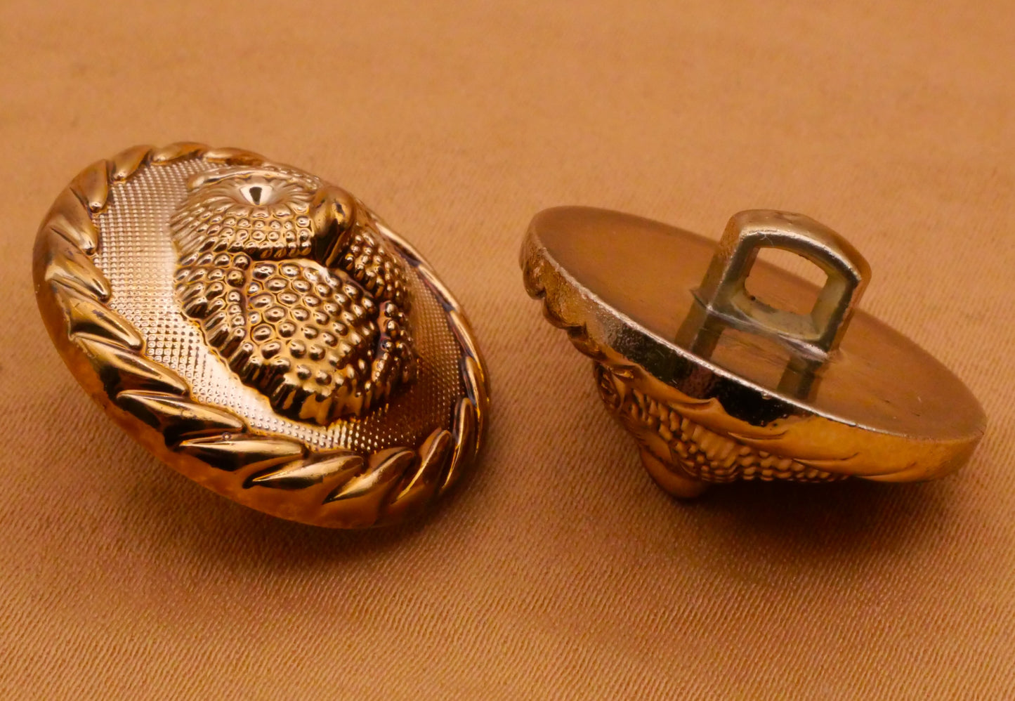 Owl Bird Champagne Plastic Pair of Buttons 23mm