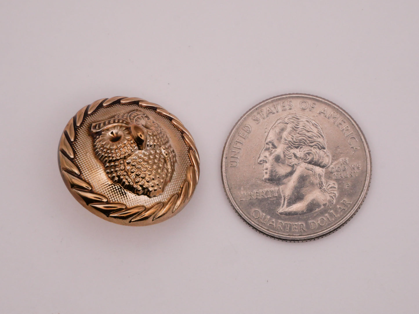 Owl Bird Champagne Plastic Pair of Buttons 23mm