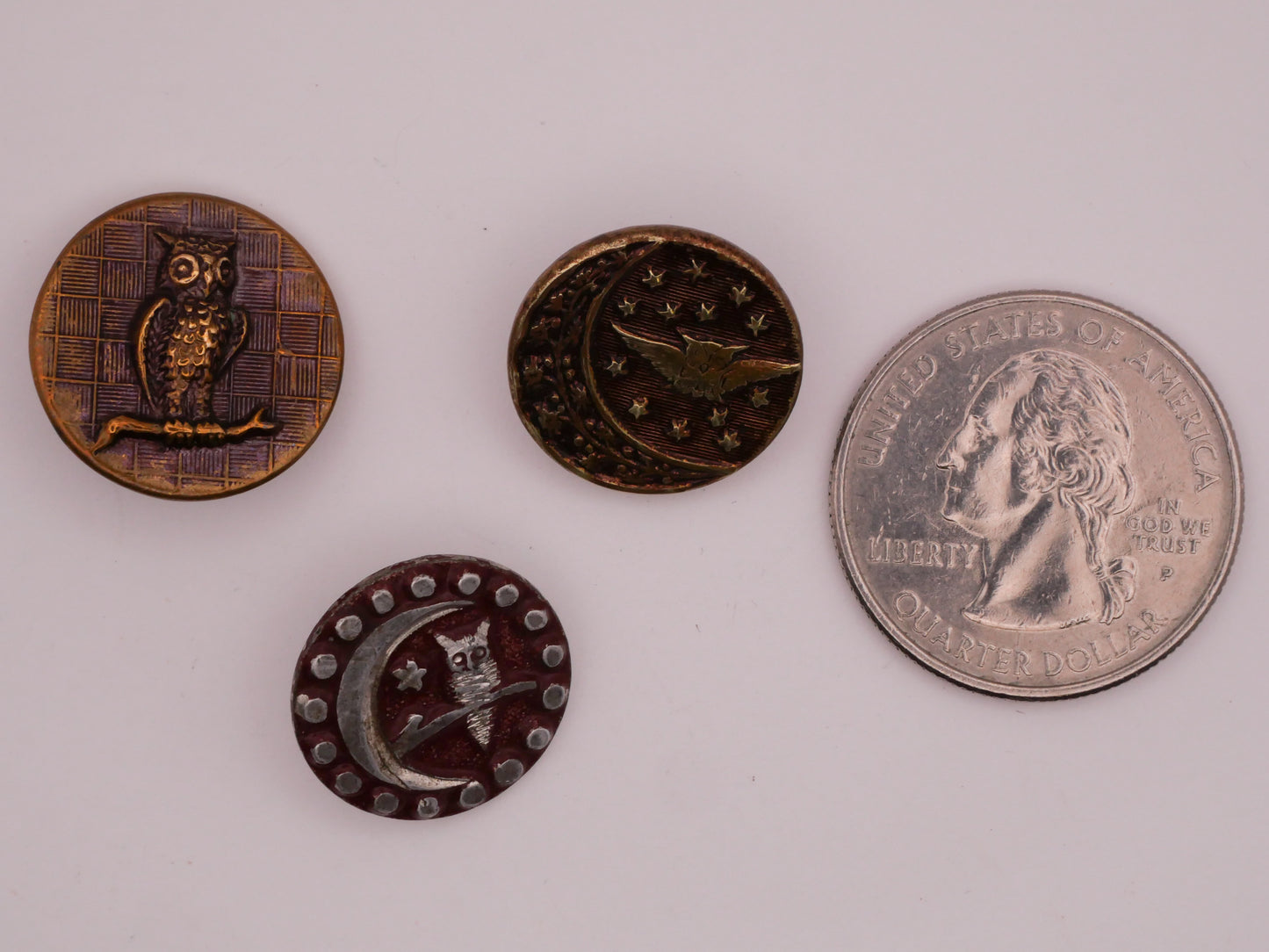 Owl Purple Tinted Victorian Metal Button Various 17-18mm