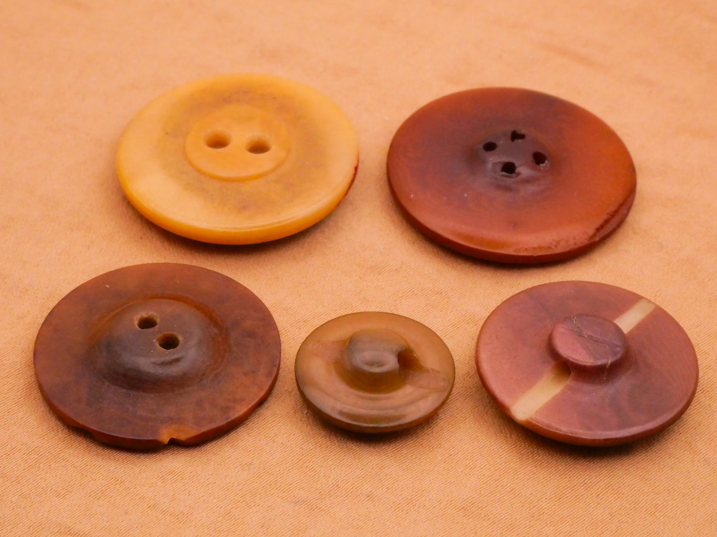 Vegetable Ivory Antique Tagua Nut Button Various 16-28mm