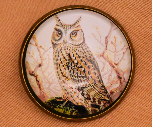 Owl Book Illustration Glass Dome Bronze Metal Button 28mm