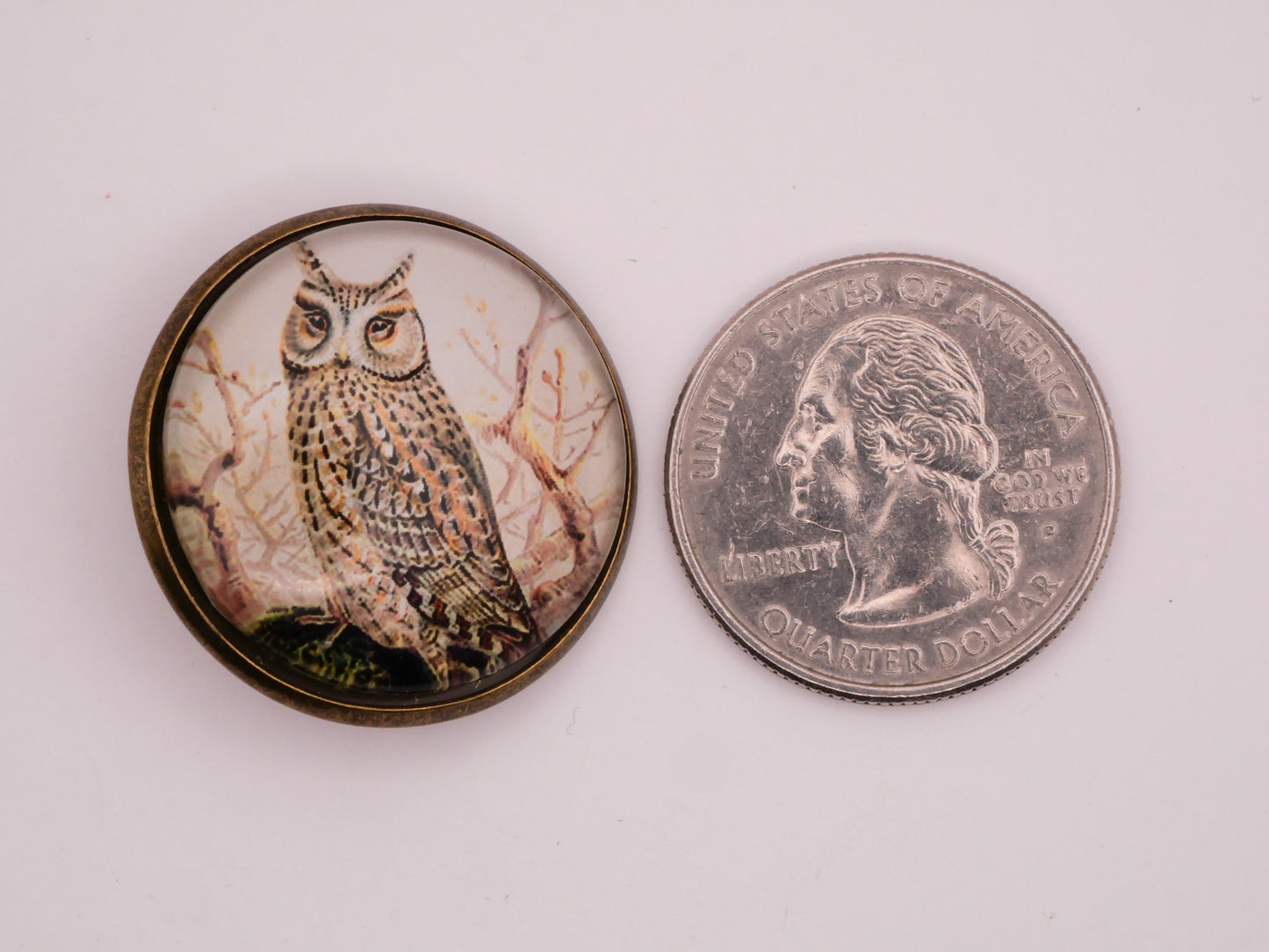 Owl Book Illustration Glass Dome Bronze Metal Button 28mm