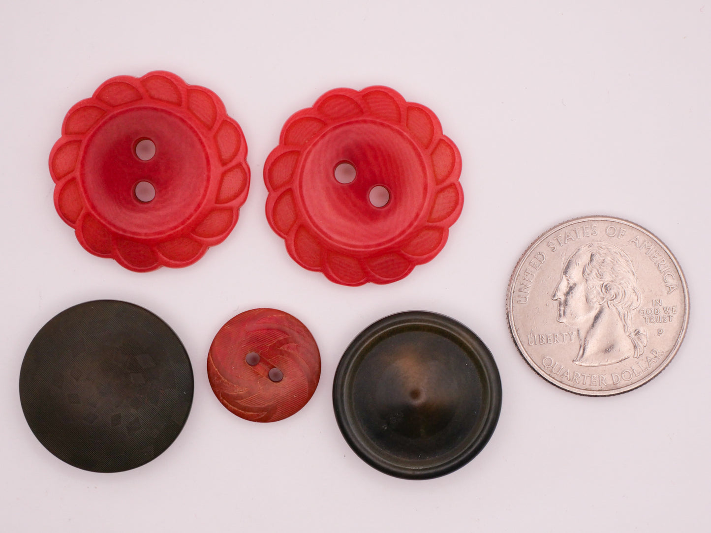 Red or Green Vegetable Ivory Tagua Nut Vintage Button Various 15-27mm