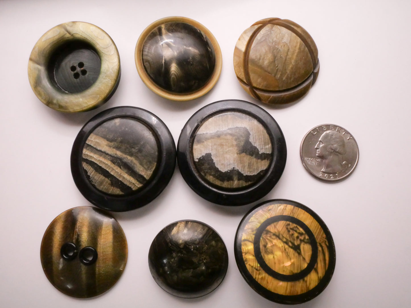 Green Hue Wood Grain Look Celluloid Early Plastic Button Various 31-44mm