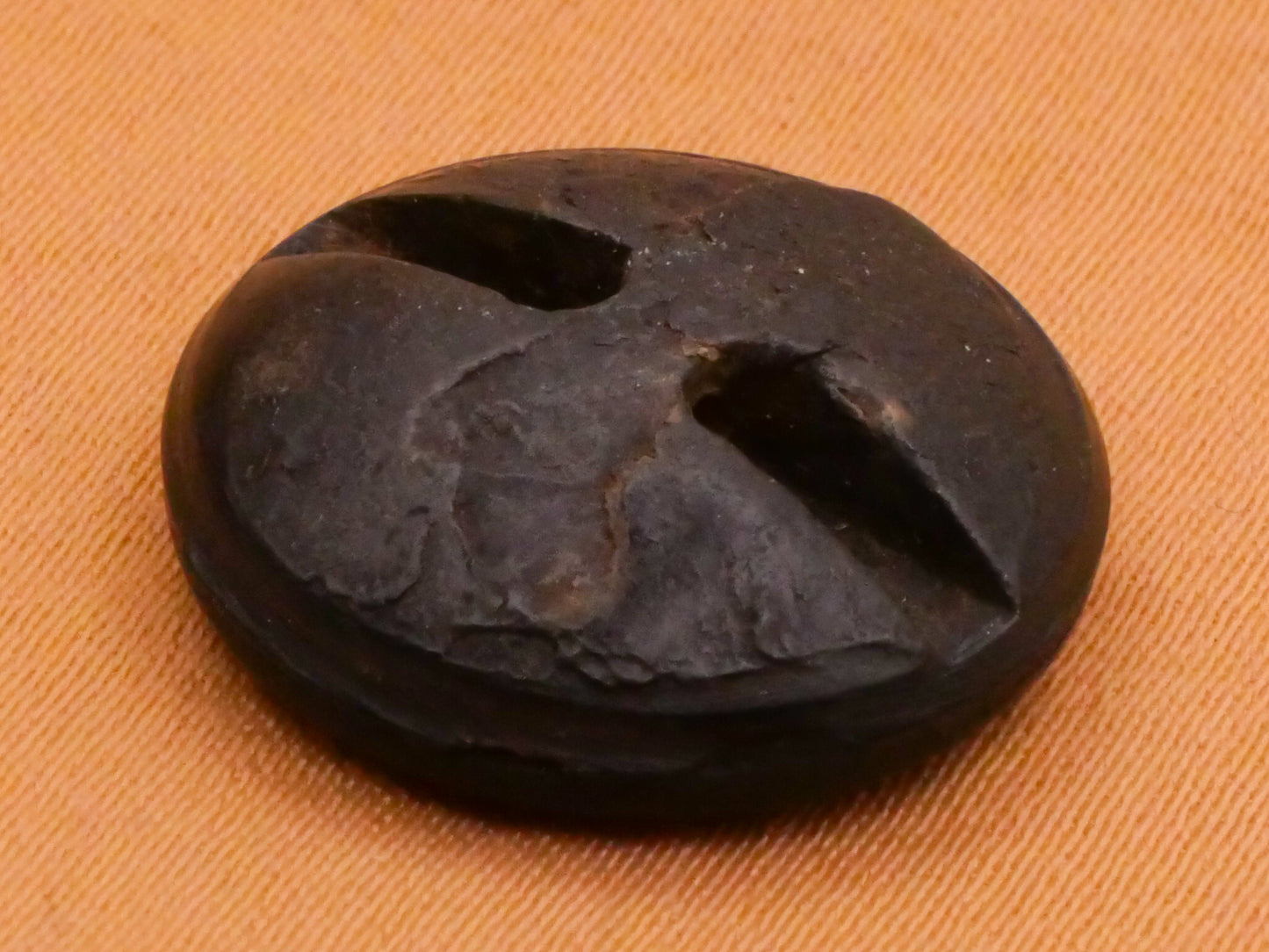 Bird Branch Composition Rubber or Early Plastic Button 18mm