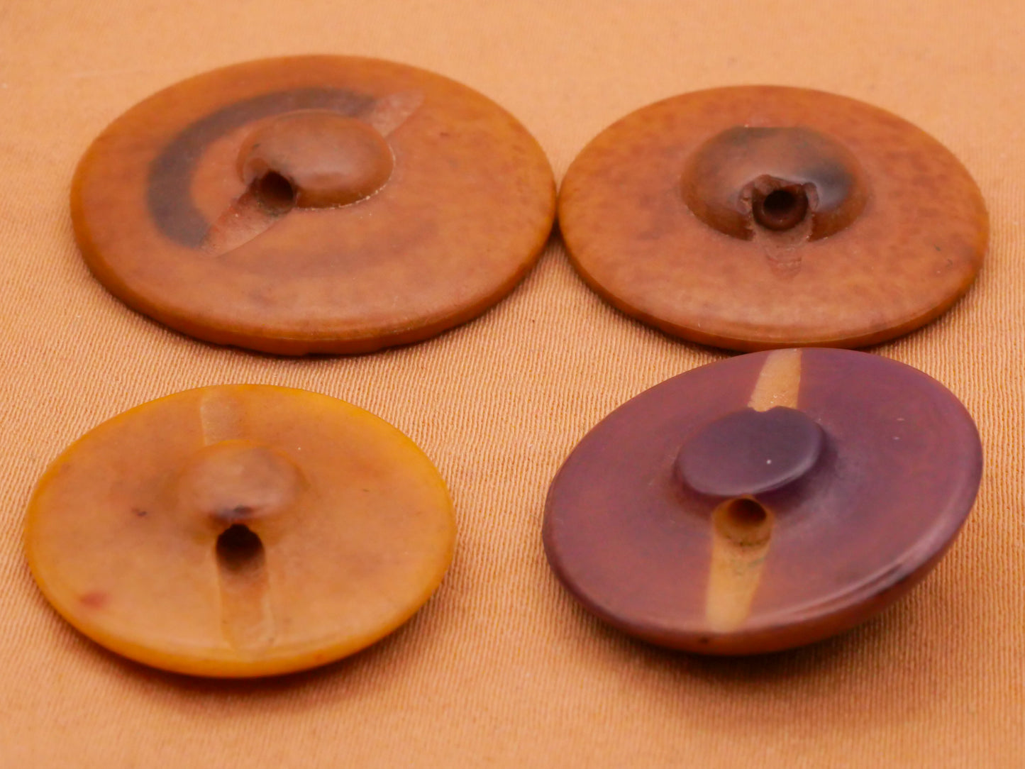 Water Inspired Vegetable Ivory Tagua Nut Button Various 22-28mm