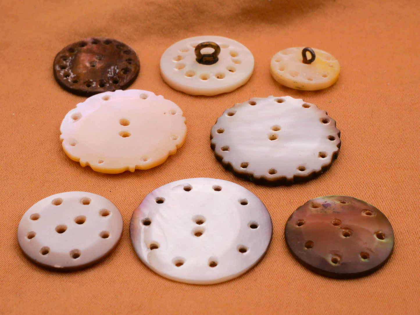 Pierced Wreath Carved Mother of Pearl Button Various 13-22mm