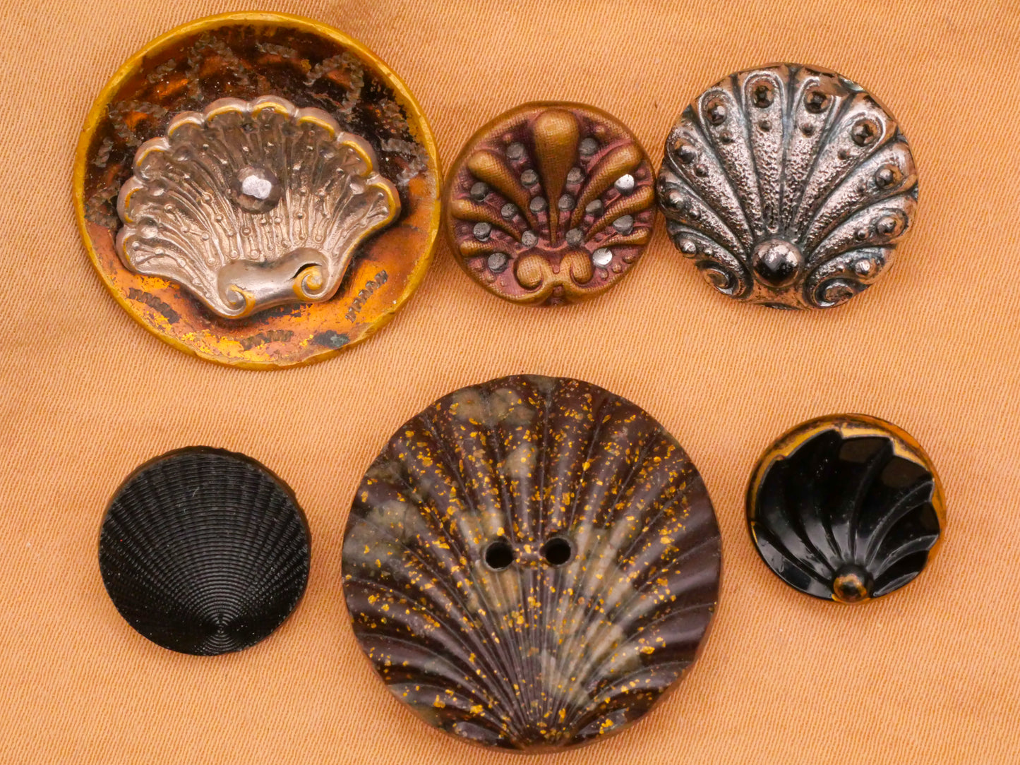 Seashell Clamshell Vintage or Antique Button Various 13-26mm
