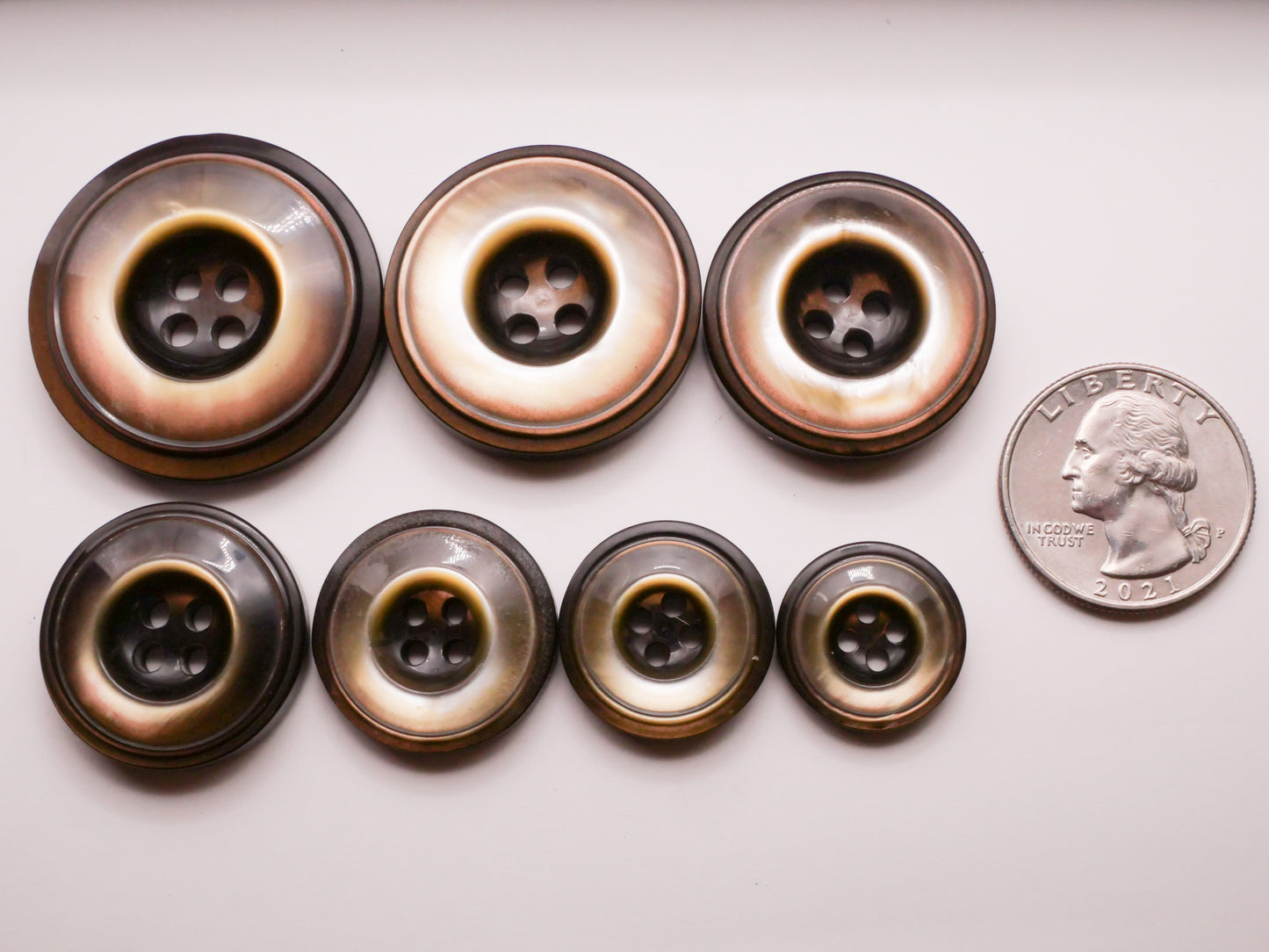 Shell Look Vintage Plastic Graduated Sizes Set of Seven Buttons 18-35mm