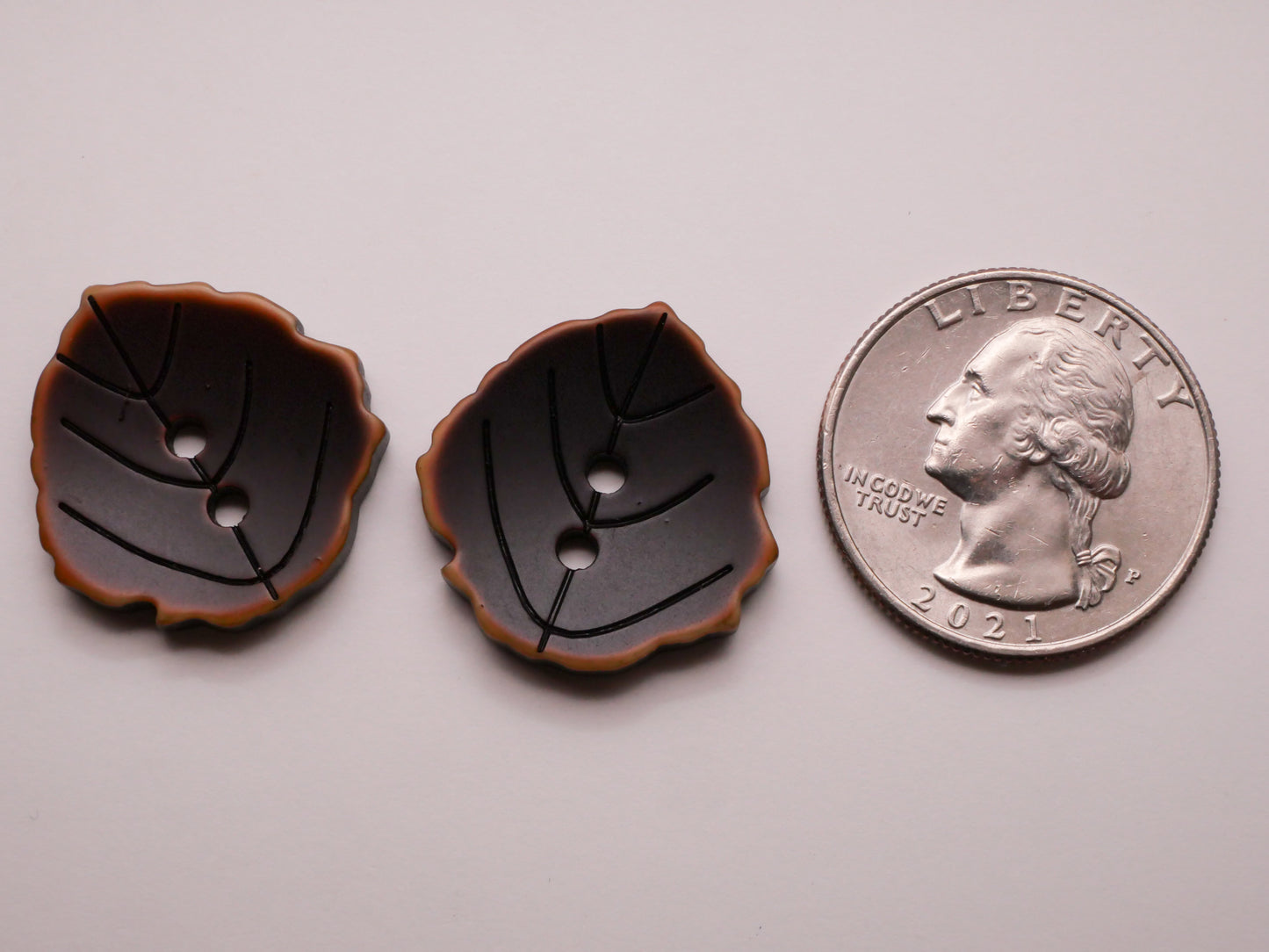 Leaf Carved Veins Chocolate Brown Plastic Pair of Buttons 22x23mm