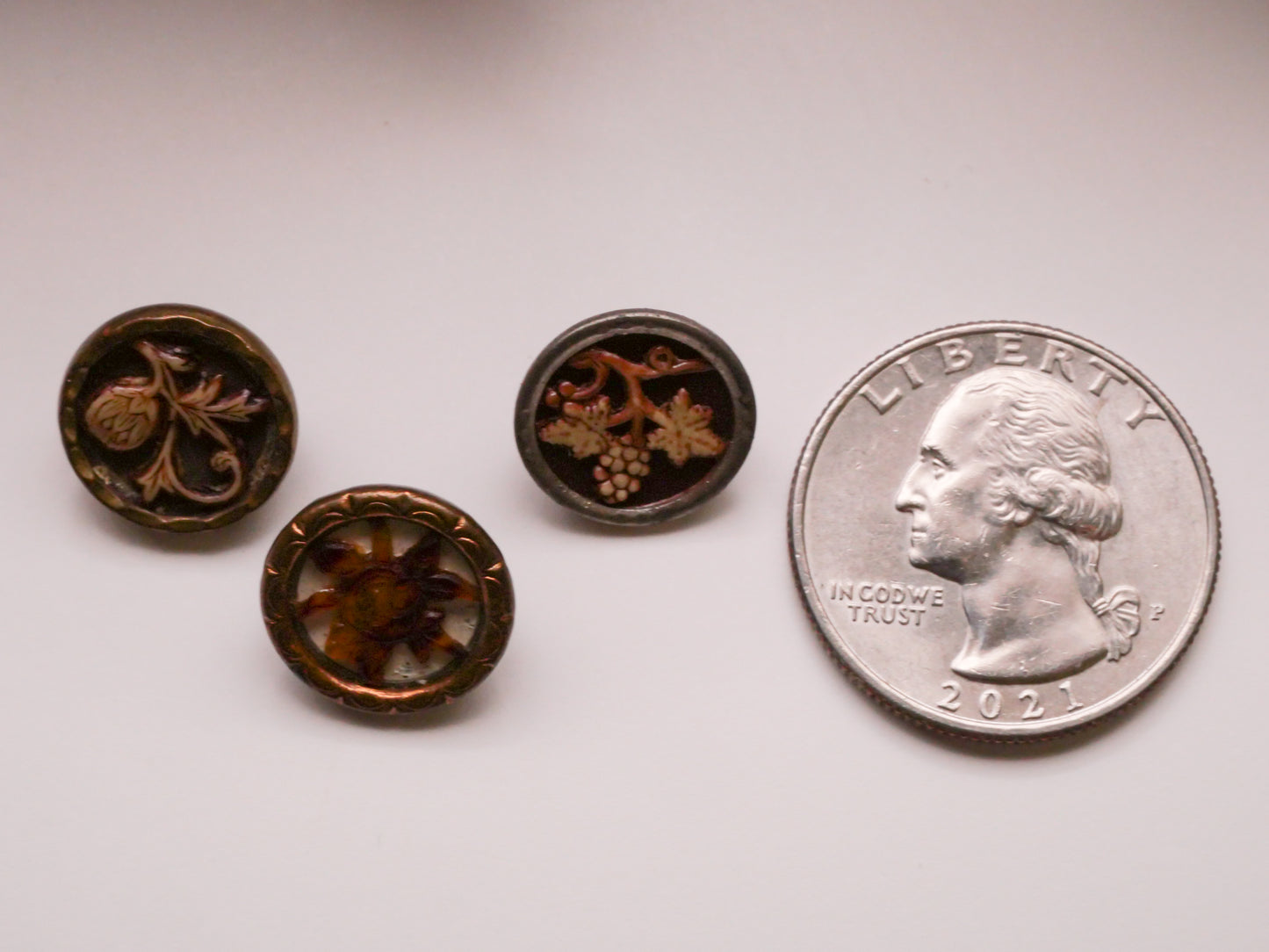 Fruit Branch Celluloid Victorian Metal Button Various 13-14mm