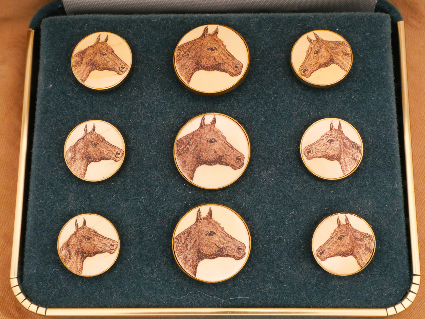 Horse Face Scrimshaw Ivoroid Metal Button Various 15-19mm