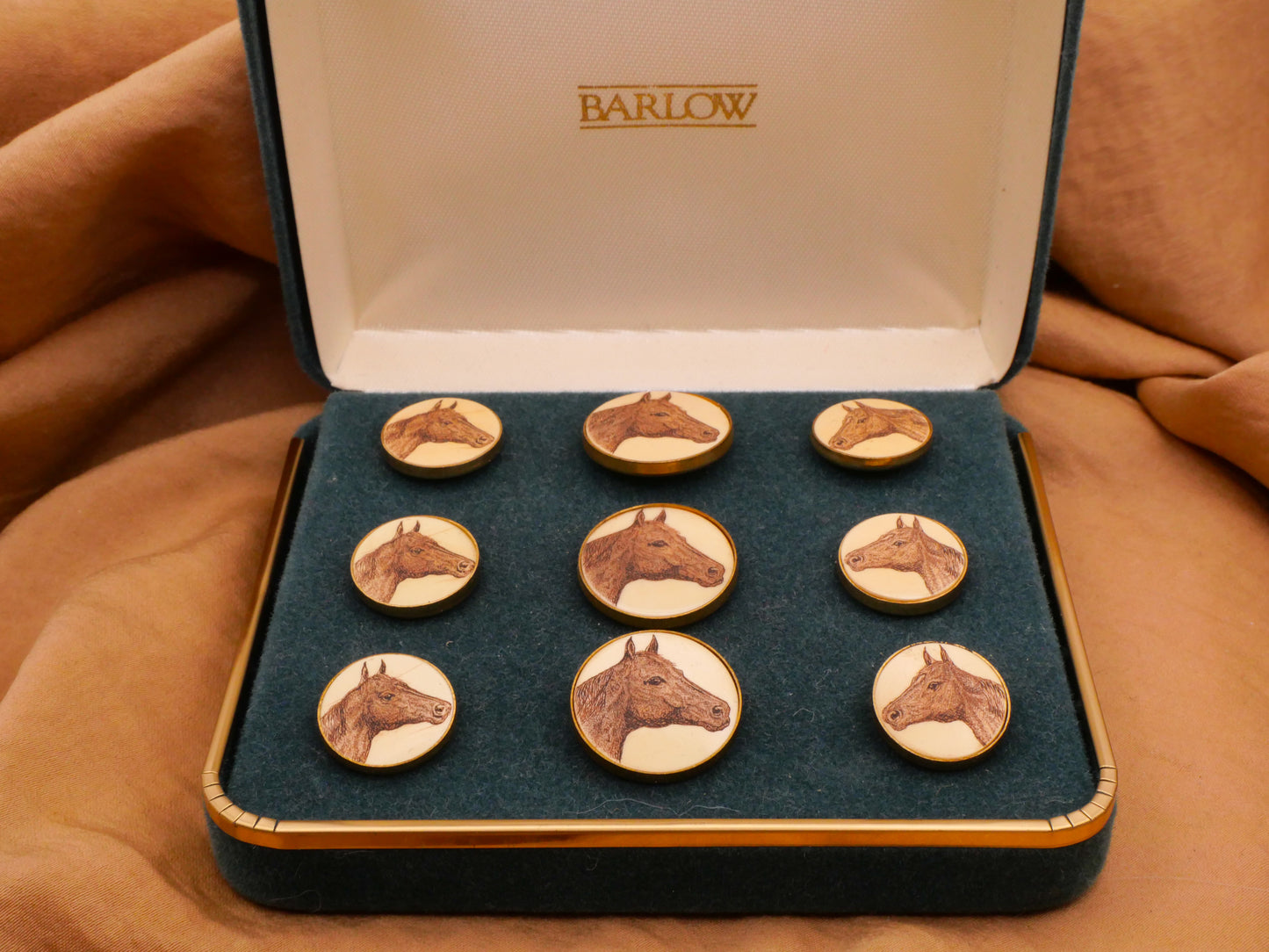 Horse Face Scrimshaw Ivoroid Metal Button Various 15-19mm
