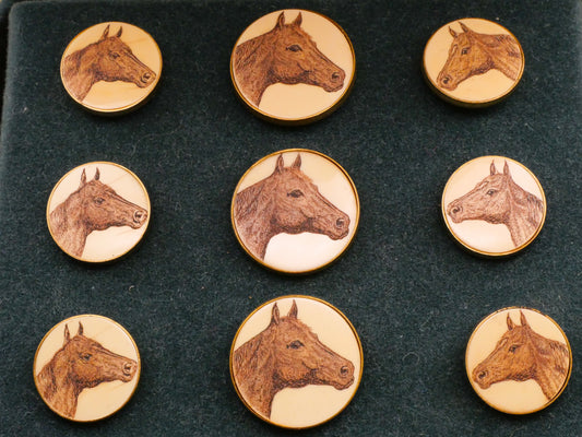 Horse Face Scrimshaw Ivoroid Metal Button Various 15-19mm