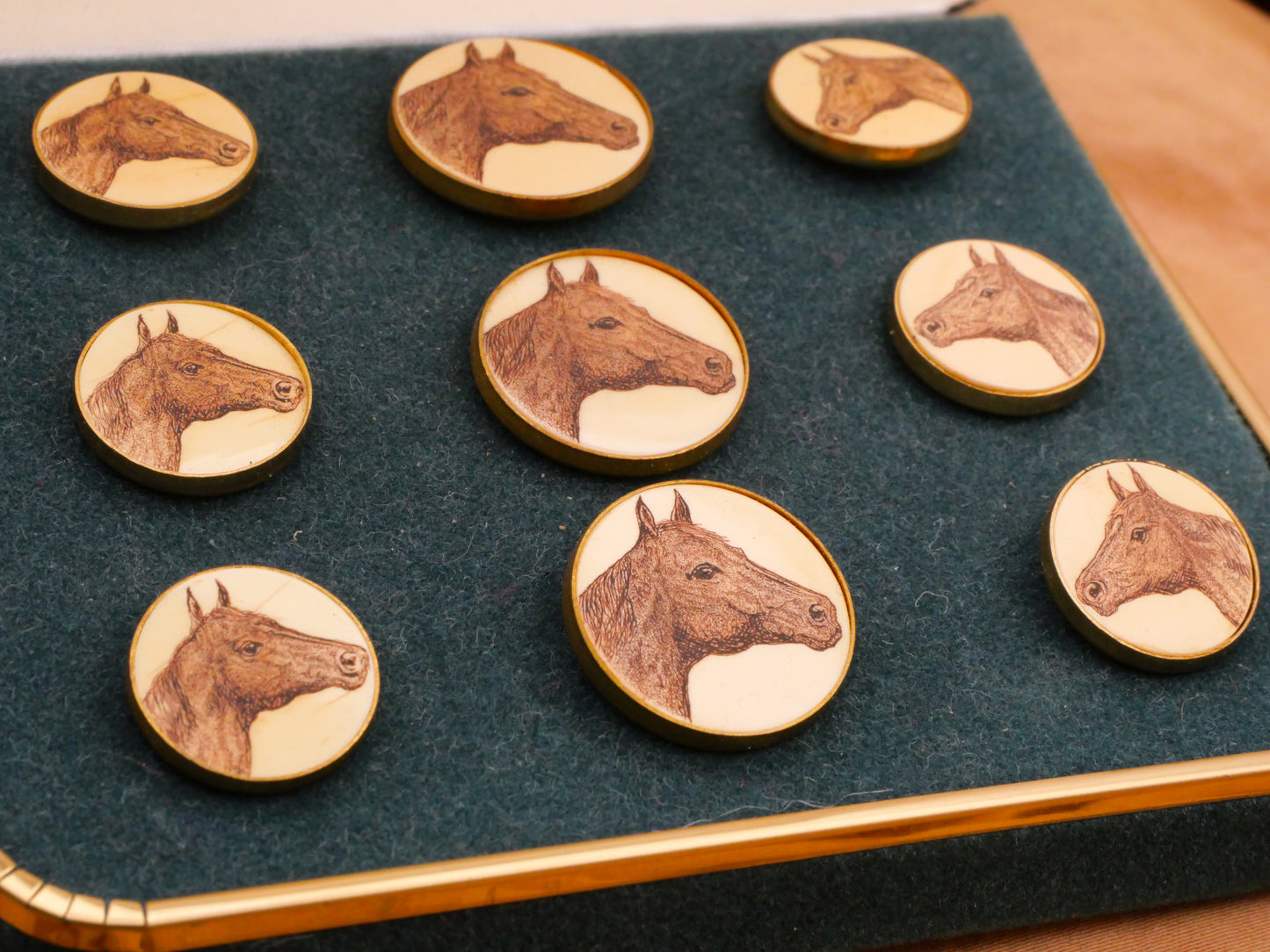 Horse Face Scrimshaw Ivoroid Metal Button Various 15-19mm