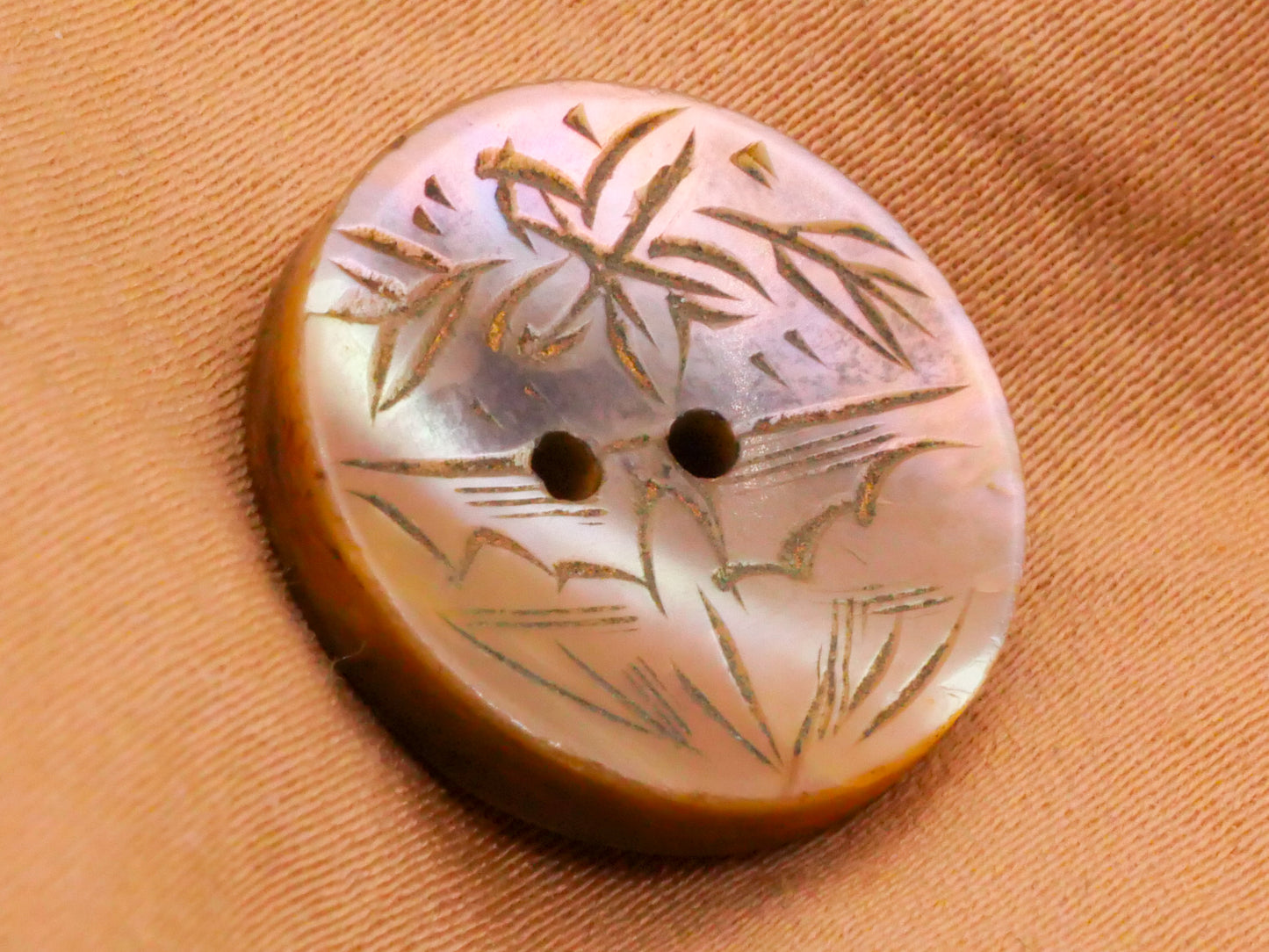 Tropical Landscape Etched Carved Mother of Pearl Button 17mm
