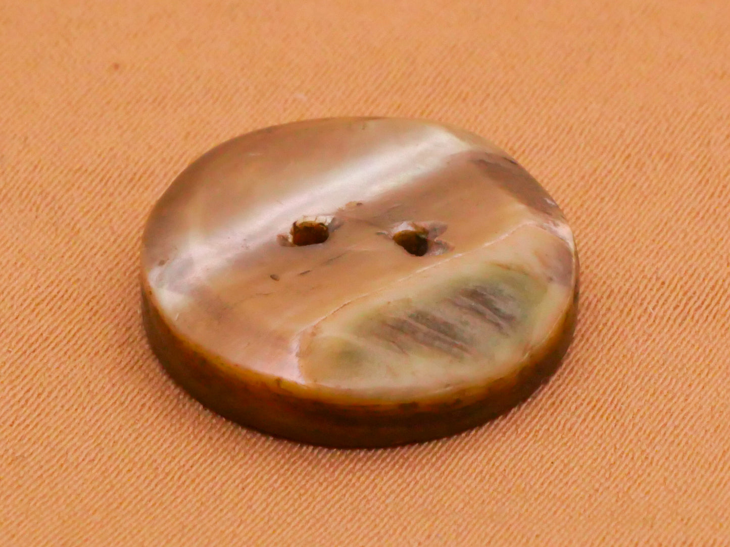 Tropical Landscape Etched Carved Mother of Pearl Button 17mm