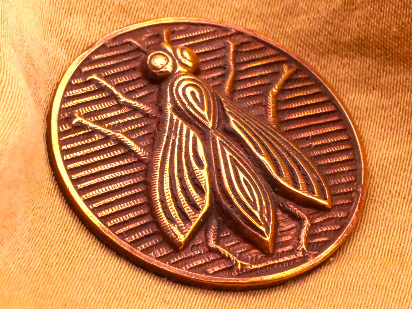 Fly Winged Insect Stripe Woodgrain Red Tinted Brass Metal Button 27mm