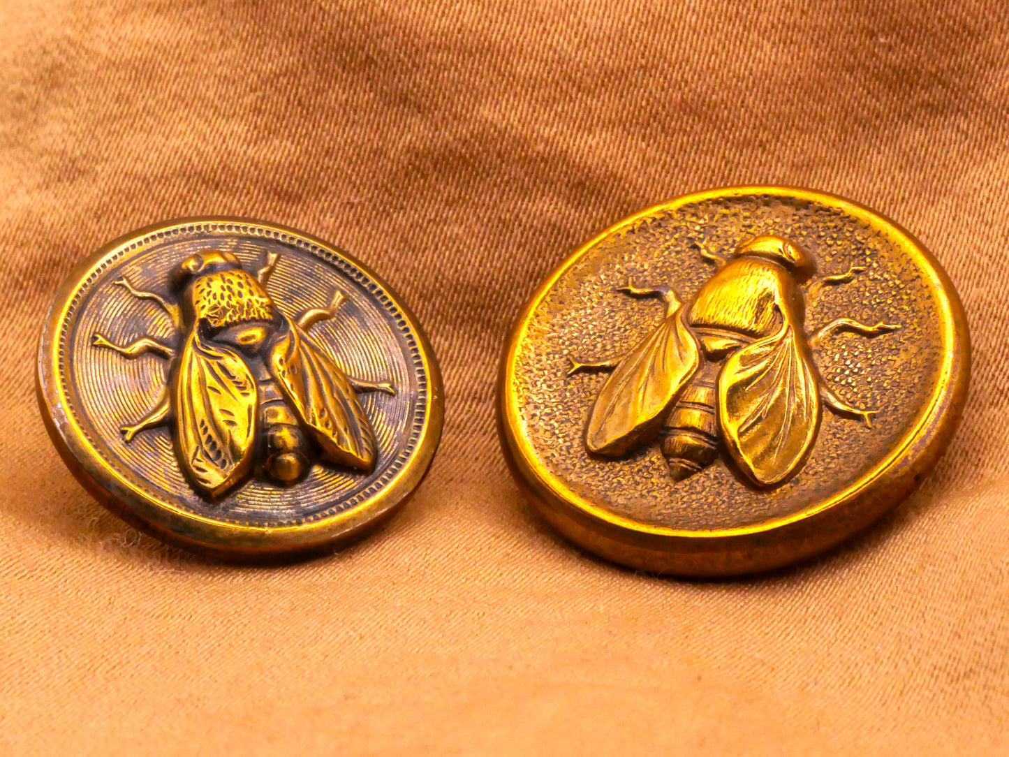 Honey Bee Insect Antique Brass Metal Button Various 19-23mm