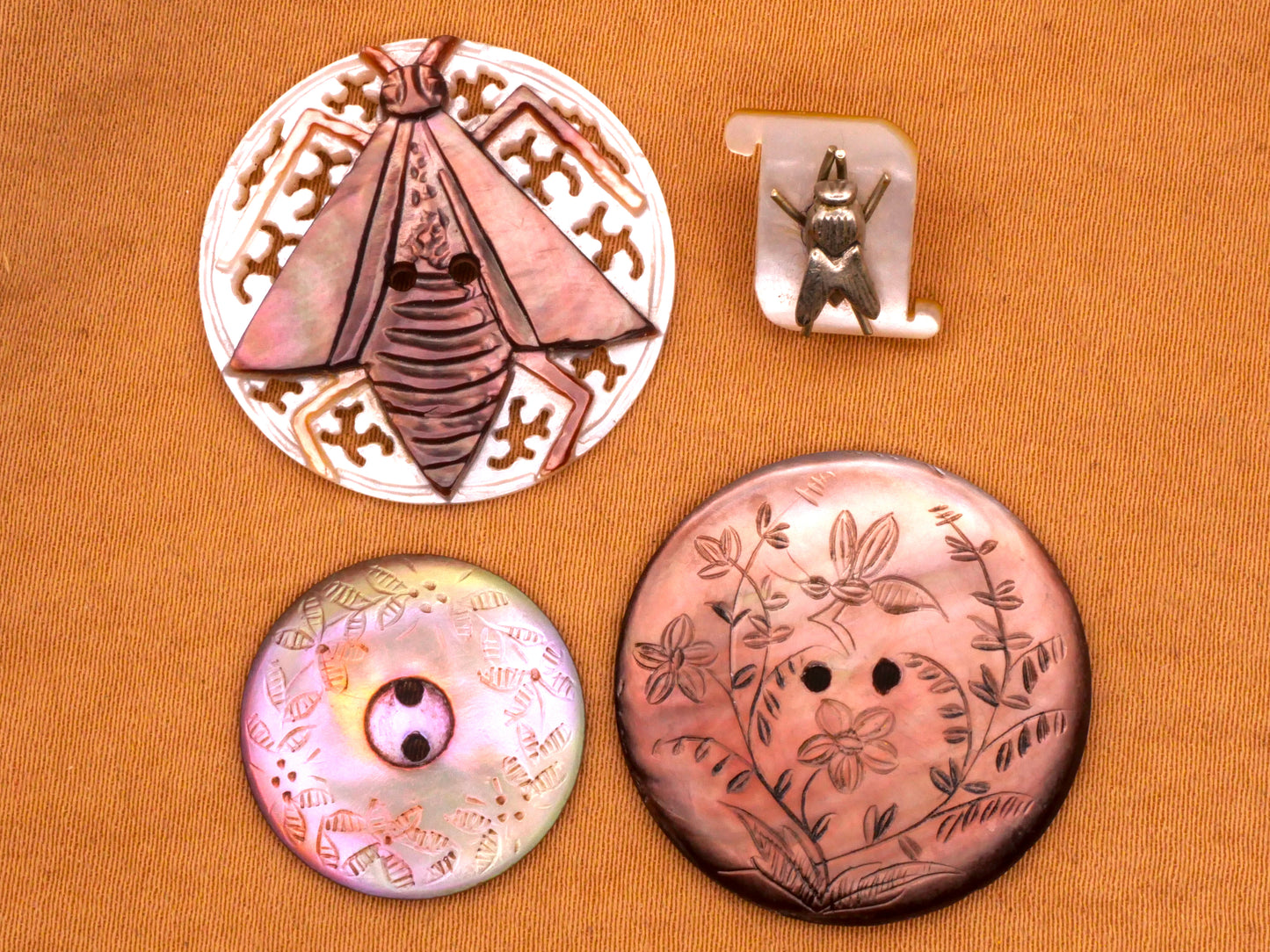 Winged Insect Mother of Pearl Shell Button Various 12-27mm
