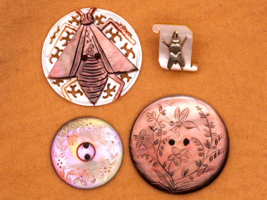 Winged Insect Mother of Pearl Shell Button Various 12-27mm