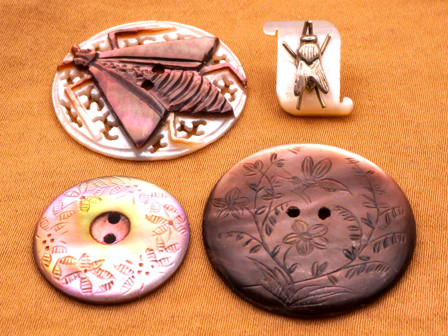 Winged Insect Mother of Pearl Shell Button Various 12-27mm