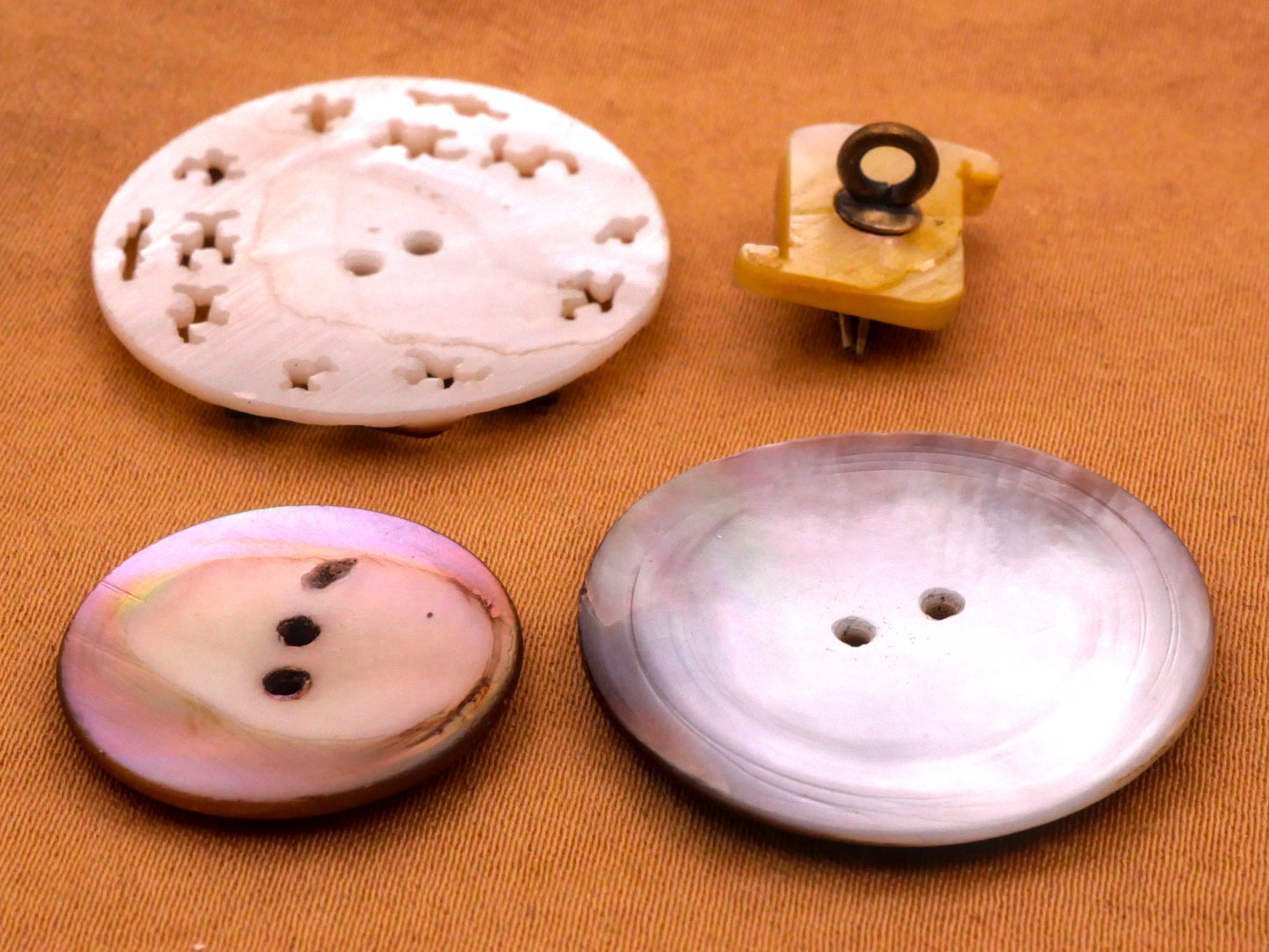 Winged Insect Mother of Pearl Shell Button Various 12-27mm