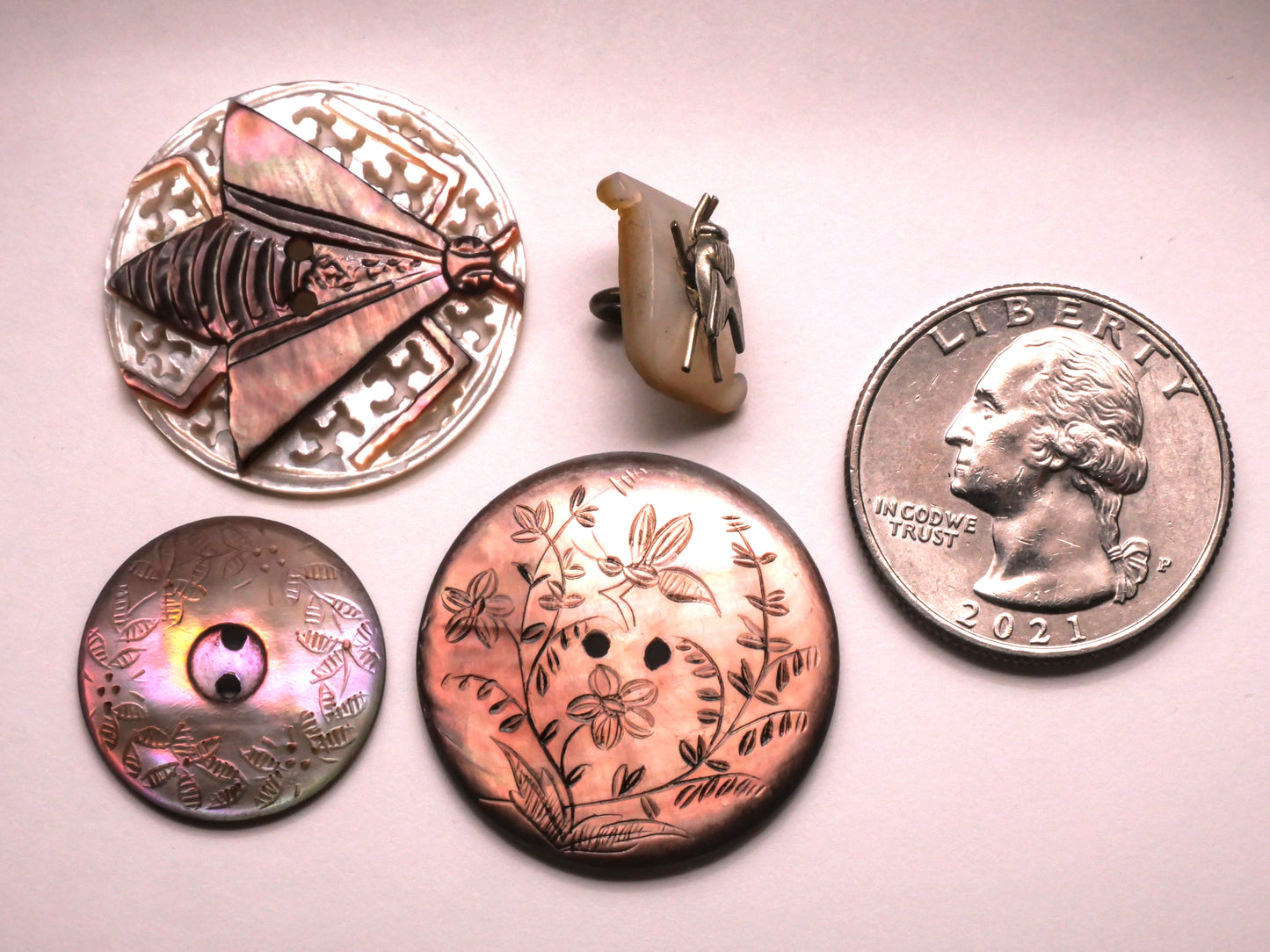 Winged Insect Mother of Pearl Shell Button Various 12-27mm