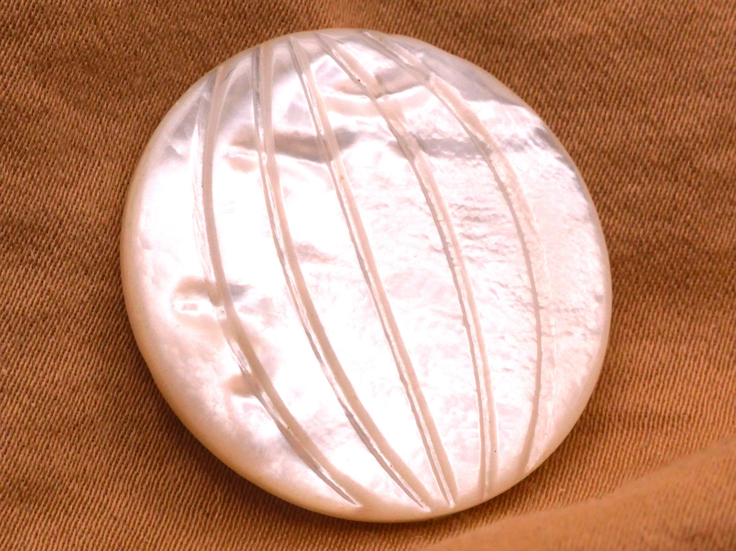 Longitude Lines Globe Carved Mother of Pearl Button 28mm