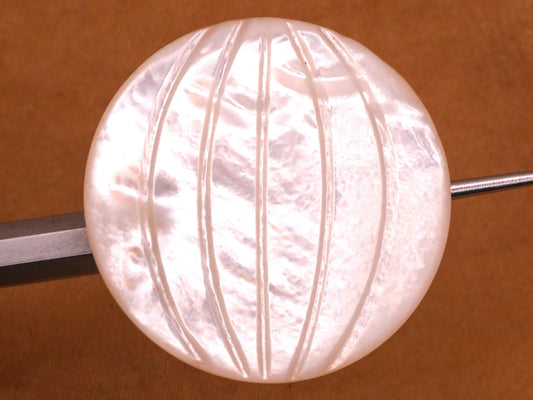 Longitude Lines Globe Carved Mother of Pearl Button 28mm