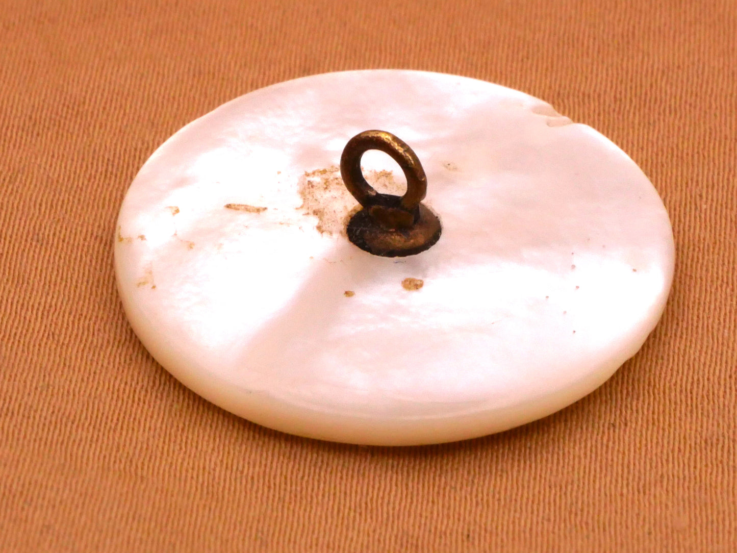 Longitude Lines Globe Carved Mother of Pearl Button 28mm