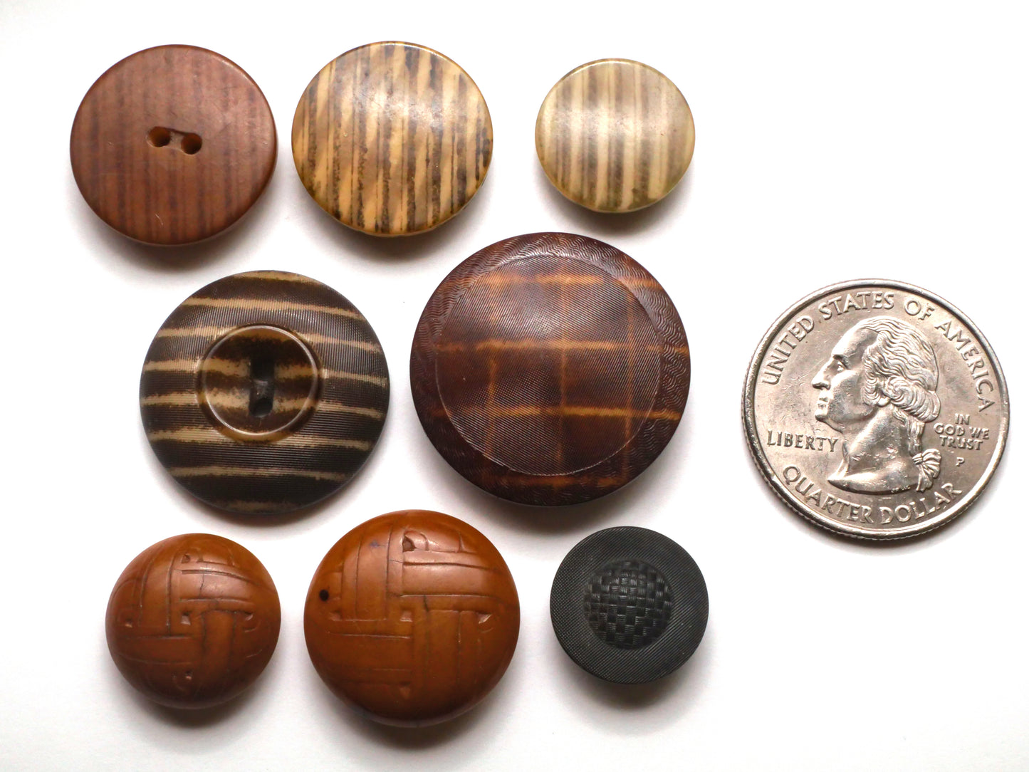 Plaid Stripes or Weaving Design Vegetable Ivory Tagua Nut Button Various 14-25mm