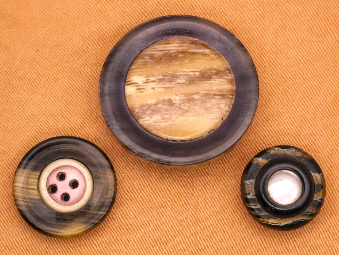 Horn Bone Imitation Celluloid Early Plastic Button Various 15-29mm