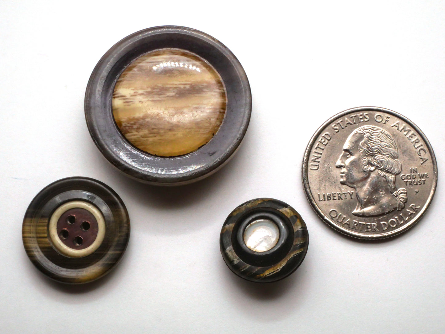 Horn Bone Imitation Celluloid Early Plastic Button Various 15-29mm