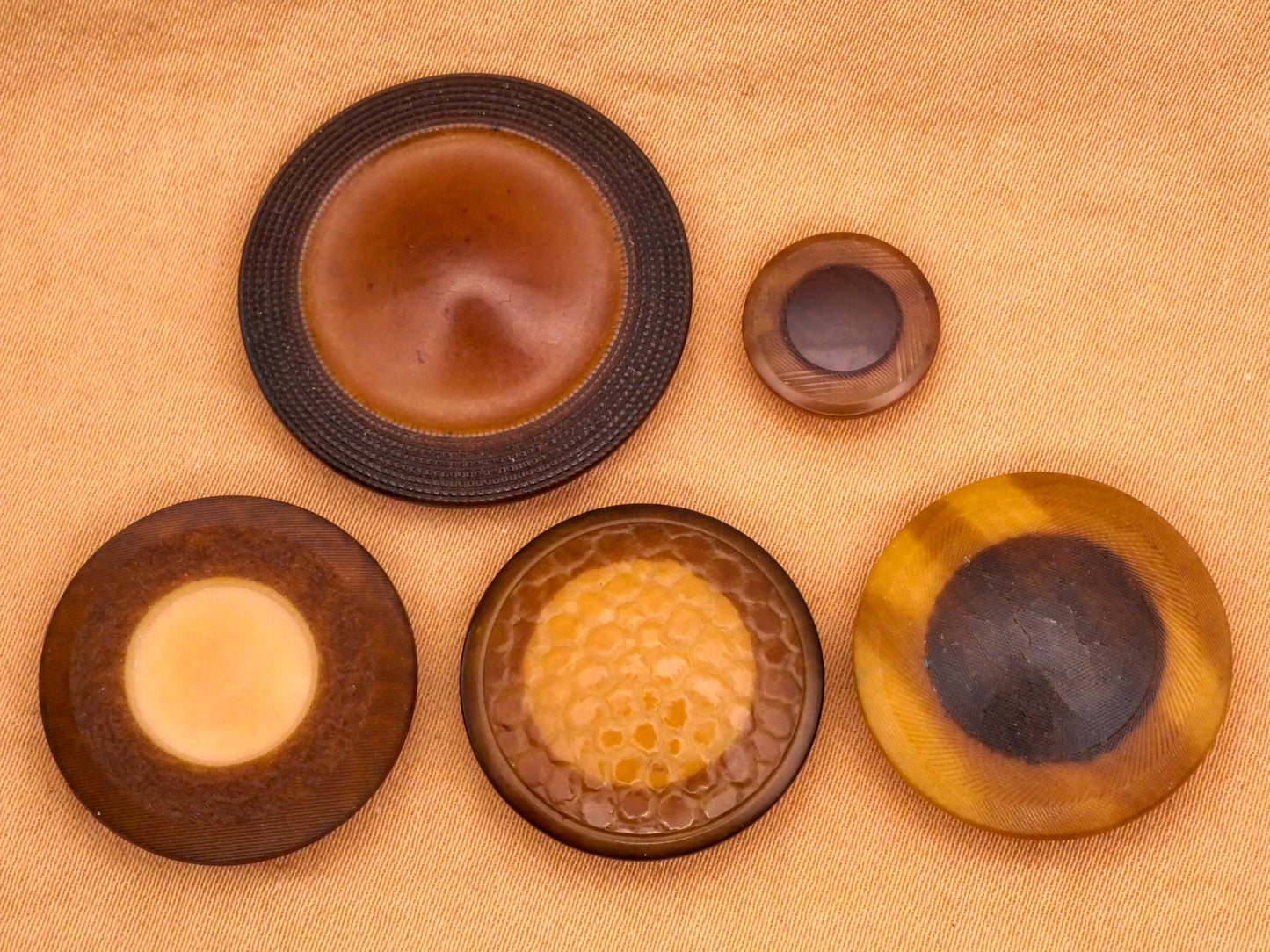 Ring Eye Pressed Texture Two-Tone Vegetable Ivory Button Various 12-28mm