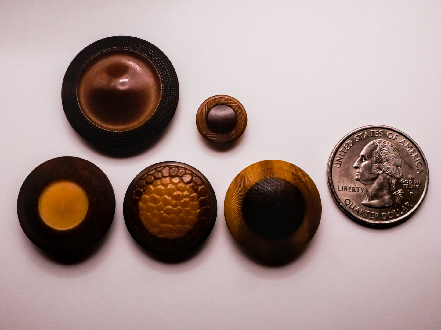Ring Eye Pressed Texture Two-Tone Vegetable Ivory Button Various 12-28mm