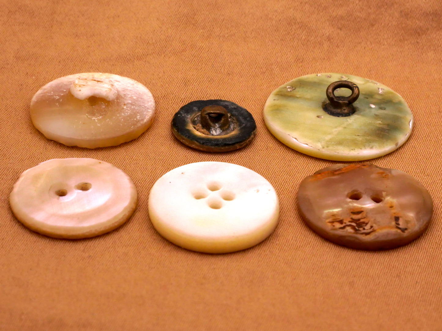 Sun Celestial Mother of Pearl Shell Button Various 12-22mm